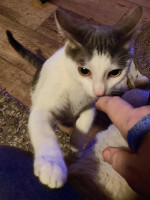 /album/14-12-2025/whatsapp-image-2025-12-14-at-21-04-57-1-jpeg/